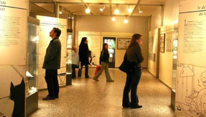 Centre Belge de la Bandes Dessinées (Belgian Centr