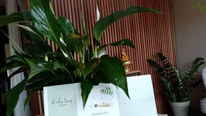 de’relaxtimes thaise massage in Leuven kessel-lo