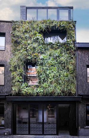 M-Street art lodging