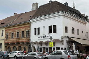 Buda Castle Tour: History & Architecture