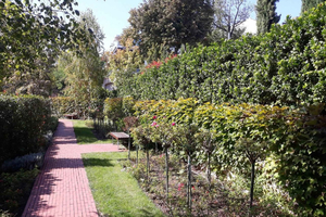 Budapest: Best Gardens Walking Tour & Folk Music Performance