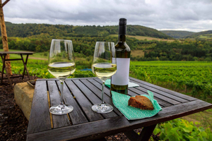 Budapest: Cycling day-trip to Etyek with wine tasting & meal