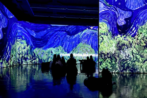 Budapeste: Ingresso para a Exposição Imersiva Van Gogh