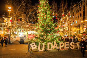 Christmas Markets Tour with Chimney Cake tasting
