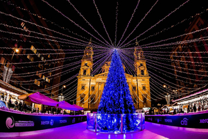 Weihnachtsmarkt-Rundgang mit Kuchenverkostung