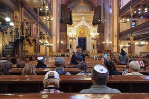Dohány Synagogue & Jewish Museum w/Prio Entry