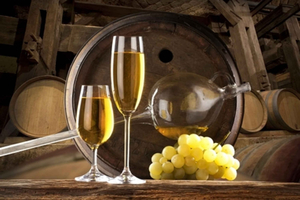 Etyek Village Private 4-Hour Wine Tour from Budapest