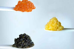 Exclusive Tasting at Polezhaev Caviar Boutique Budapest