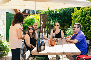 Desde Budapest: tour de medio día por el campo con comida incluida.
