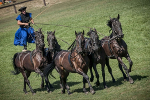 From Budapest: Puszta Horse Show and Countryside Visit
