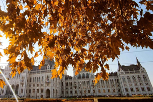 German tour in the Budapest city centre & the Jewish quarter