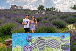 tour por el lago Balatón, cosecha de lavanda y Tihany