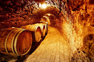 Tokaj: wycieczka po winnicy i degustacja