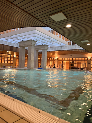 Aronia Spa & Wellness