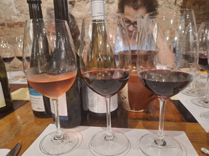brody sandor u 9