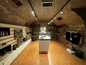 Hungarian GastroCellar
