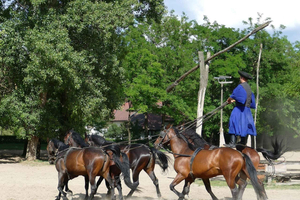 Puszta Tour and Horse Show