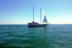 Balchik: 4-Hour Black Sea Cruise With Lunch and Drinks