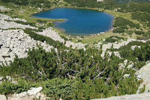 Bansko: Caminhada Particular pelos Lagos de Banderishki
