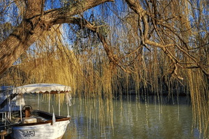 Excursion : Aladzha, Pobiti Kamani, Varna et sortie en bateau sur la Kamchia