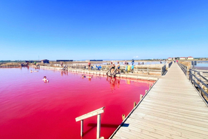 Desde Obzor: excursión de 1 día a Nesebar y al lago Salado