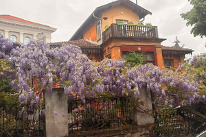 Tour por Plovdiv y experiencia de la auténtica vida rural búlgara