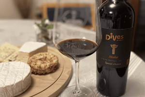 Private Tour: Wine Tasting Tour, Mud Baths, History & more