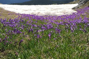 Seven Rila Lakes hike and SPA
