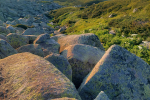 Sofia dall'alto: escursione privata sul monte Vitosha