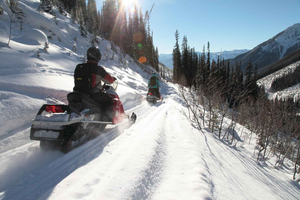 Sofia: Guided Snowmobile Safari Incl. Transportation
