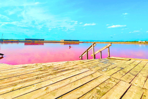 Sunny Beach: Salt Lakes and Mud Baths Excursion