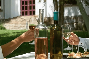 Veliko Tarnovo: Wine Tasting Experience at Yalovo Winery