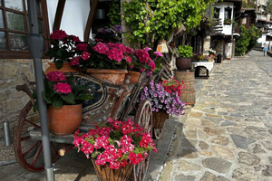 Veliko Turnovo-Bulgarian old capital and Arbanasi