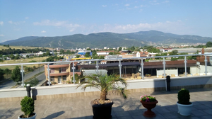 Alexander Hotel