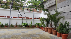 Hotel Tedi