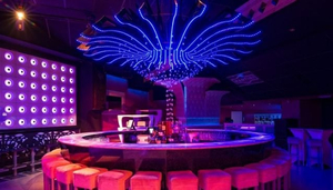 Organza Club