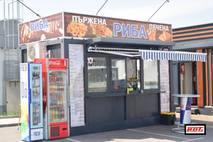 Пържена и печена риба