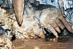 Cavernas na Bulgária