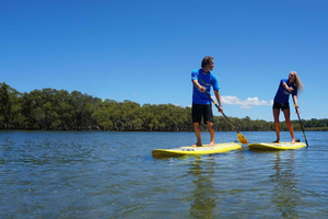Byron Bay: Group 2.5 Hour Stand-Up Paddle Board Tour