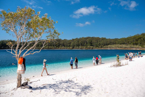 From Sydney: 8-Day Tour to Newcastle, K’Gari and Brisbane
