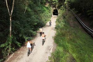 Northern Rivers Rail Trail E-bike huren met pendeldienst vanuit Byron