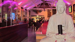 Byron Bay Premium Brewery and Buddha Bar