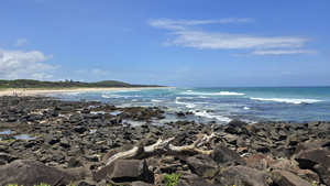 Shelly Beach