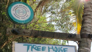 Treehouse on Belongil