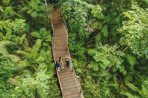 3-Day Daintree, Cape Tribulation & Port Douglas Tour