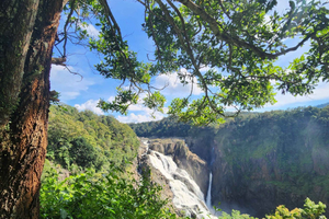 3-dagers tur til Daintree, Kuranda og revet + overnattingssted