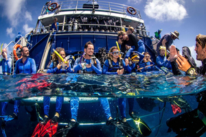 Cairns: la migliore escursione all-inclusive alla barriera corallina con immersione subacquea