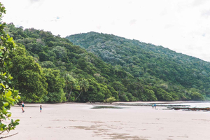 Cairns: tour premium di Cape Tribulation e della foresta pluviale di Daintree