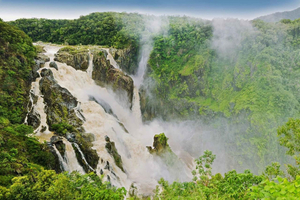 Cairns: Foresta e cascate: avventura guidata di mezza giornata in fuoristrada