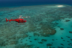 Cairns: Volo in elicottero di 30 minuti sulla Grande Barriera Corallina